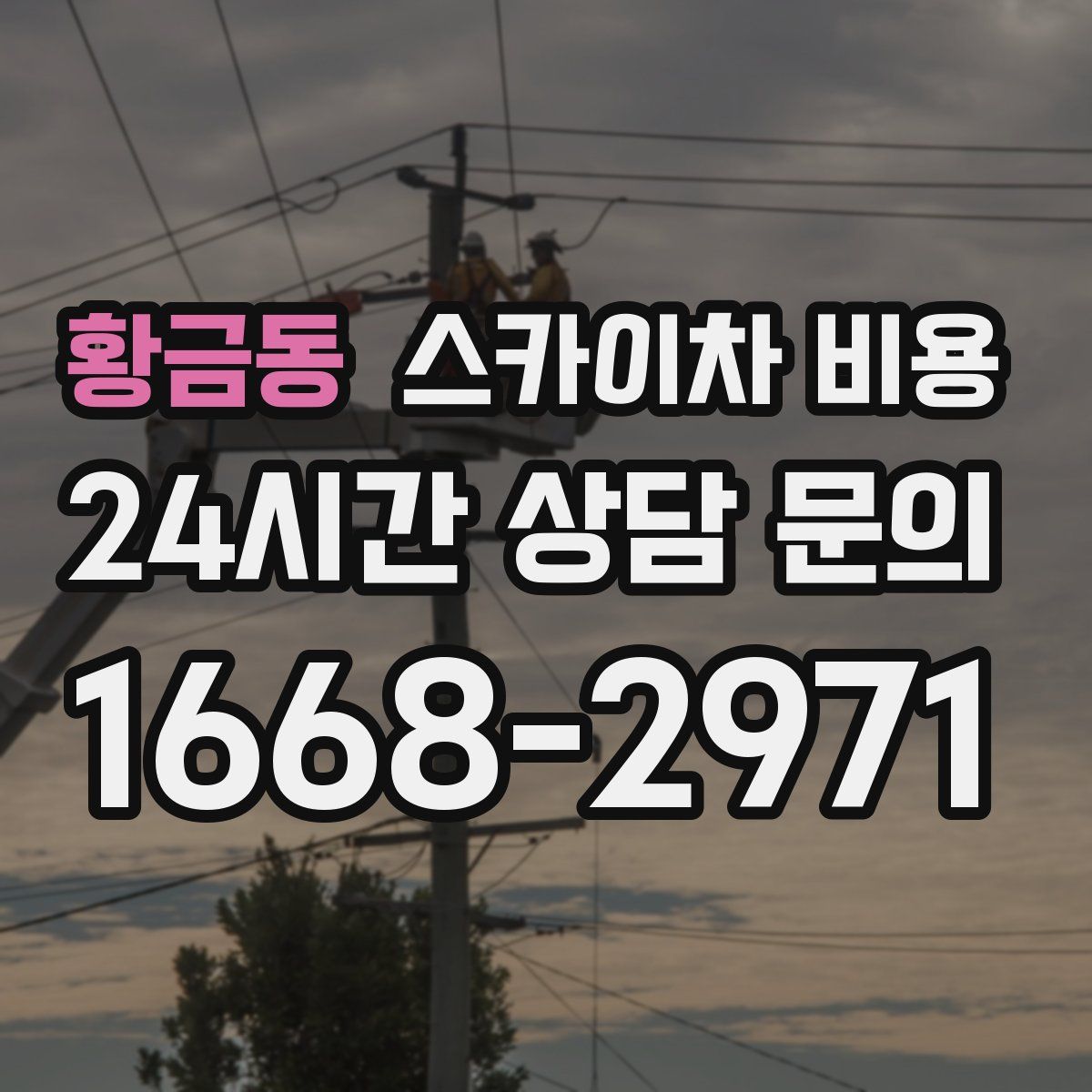 황금동 스카이차 비용