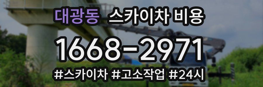 대광동 스카이차 비용