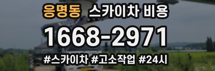 응명동 스카이차 비용