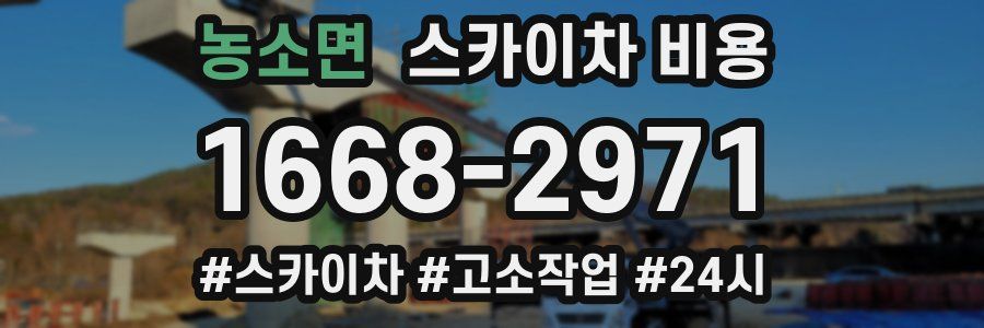 농소면 스카이차 비용