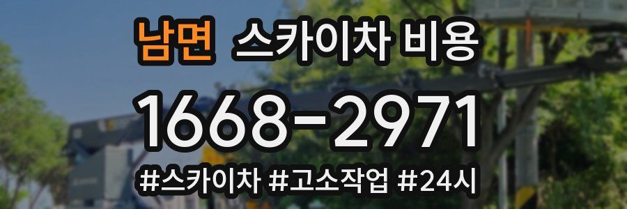 남면 스카이차 비용