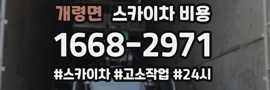 개령면 스카이차 비용