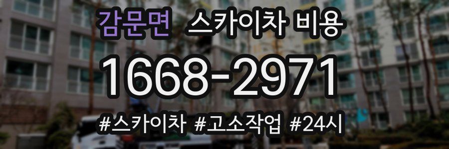 감문면 스카이차 비용