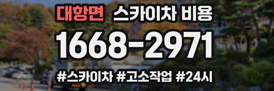 대항면 스카이차 비용