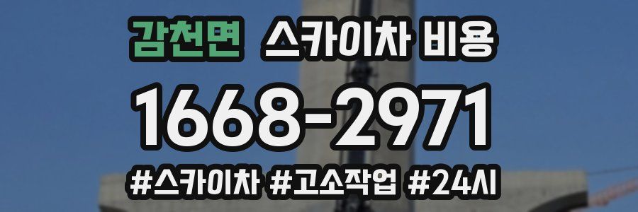 감천면 스카이차 비용