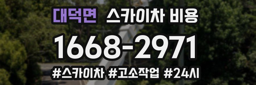 대덕면 스카이차 비용