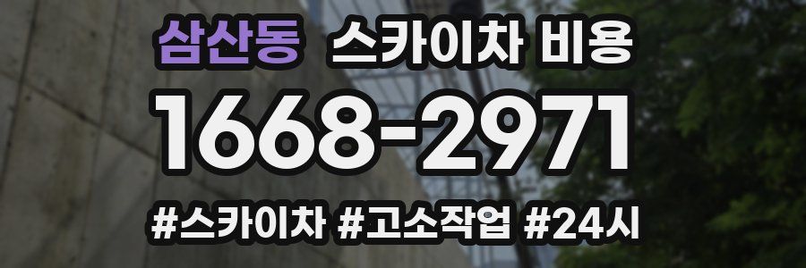 삼산동 스카이차 비용