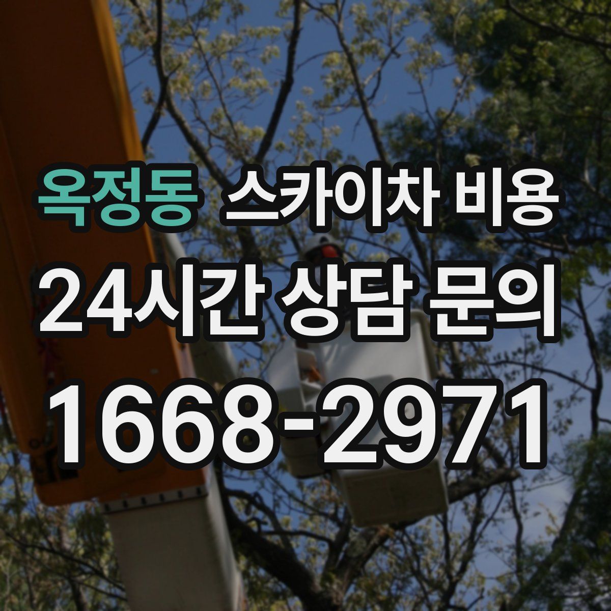 옥정동 스카이차 비용