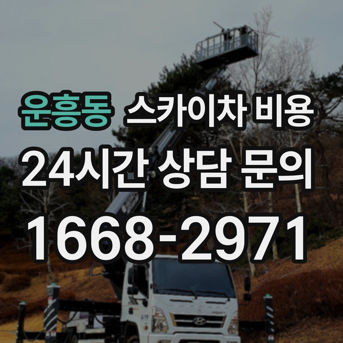 운흥동 스카이차 비용