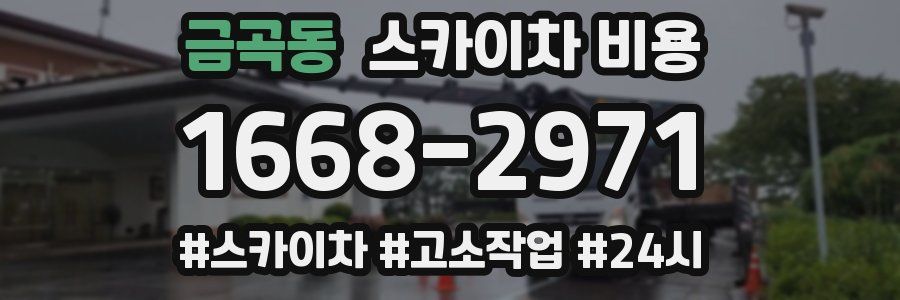 금곡동 스카이차 비용
