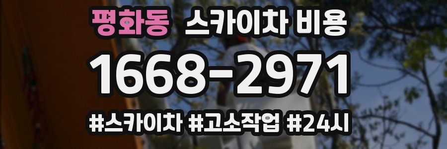 평화동 스카이차 비용