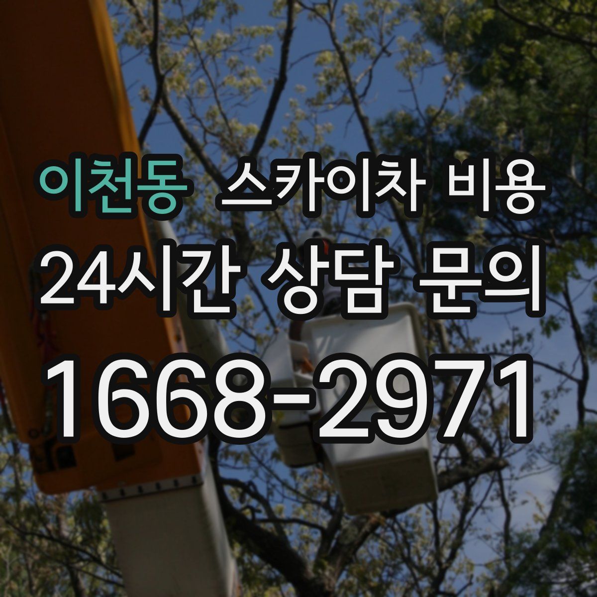 이천동 스카이차 비용