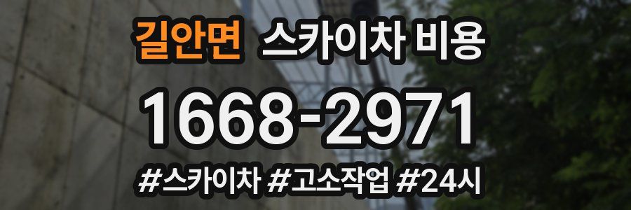 길안면 스카이차 비용