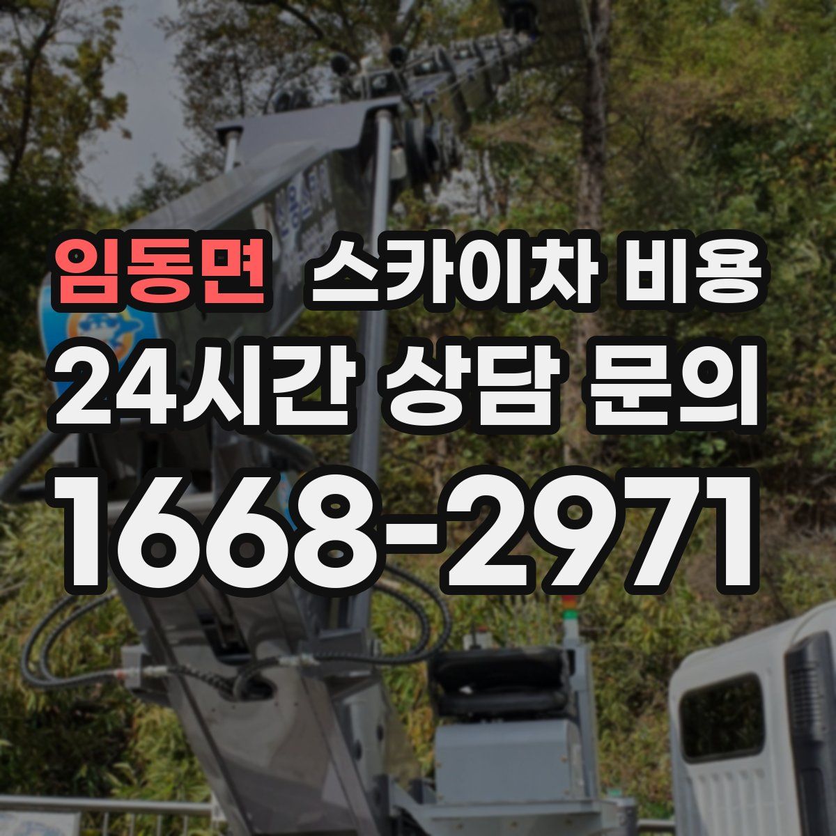 임동면 스카이차 비용