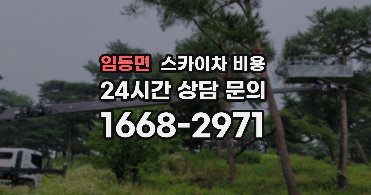 임동면 스카이차 비용