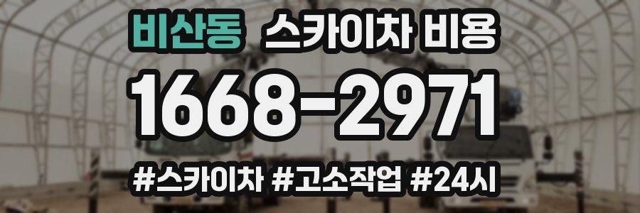 비산동 스카이차 비용