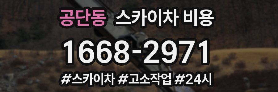 공단동 스카이차 비용