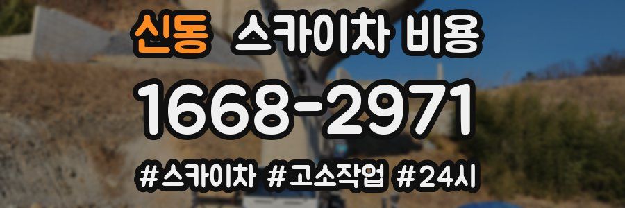 신동 스카이차 비용