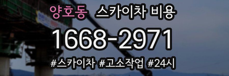 양호동 스카이차 비용