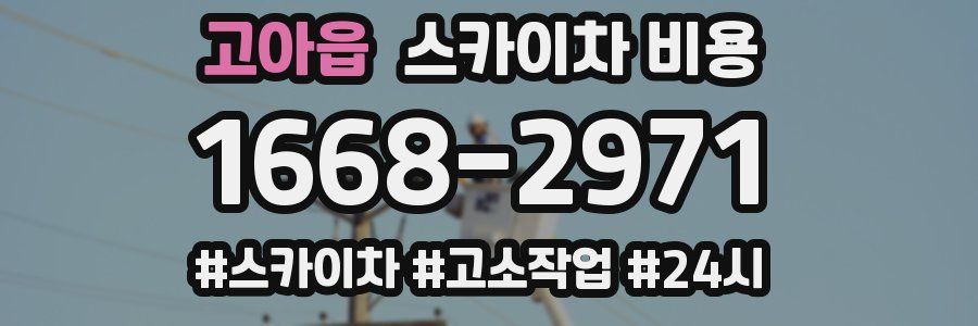 고아읍 스카이차 비용