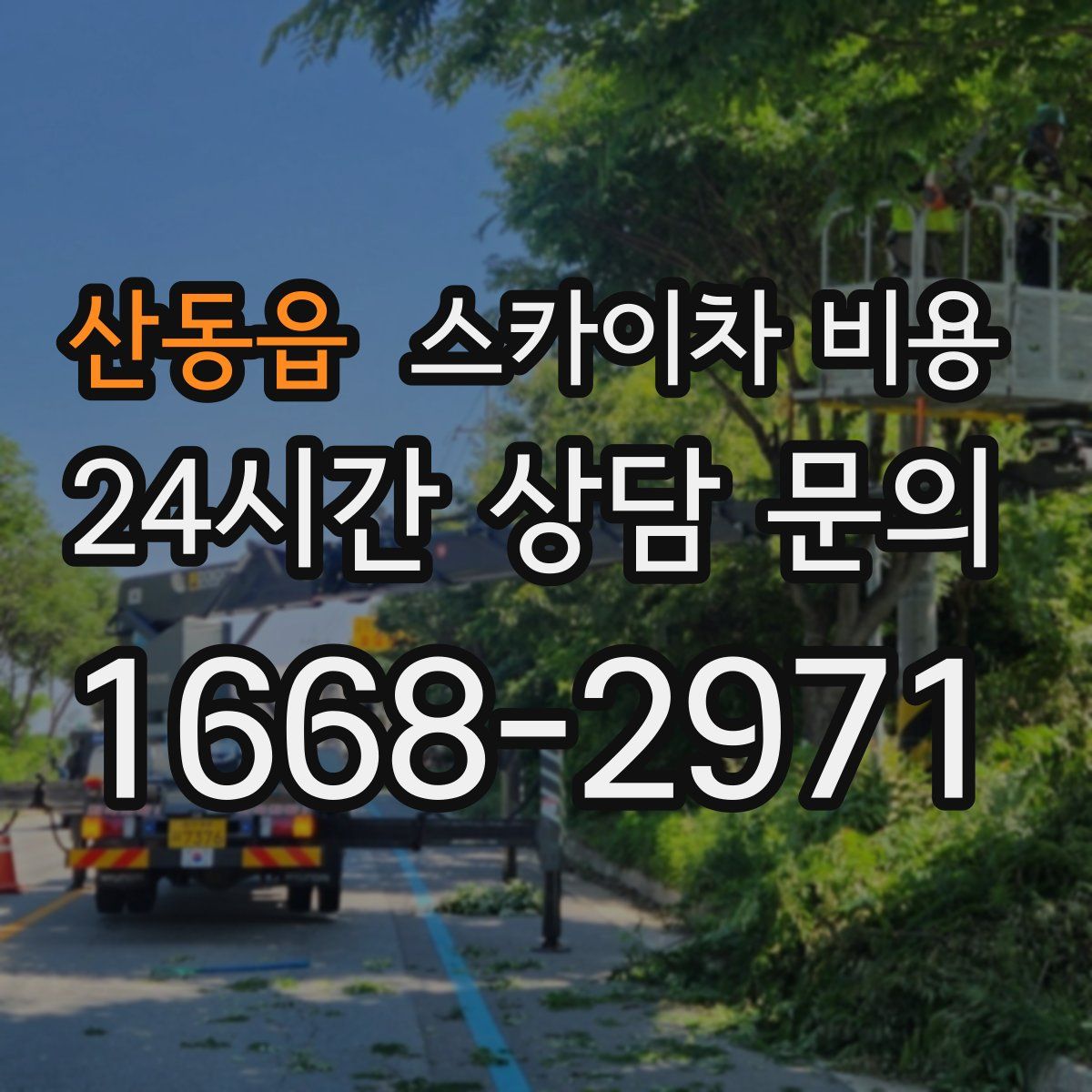 산동읍 스카이차 비용