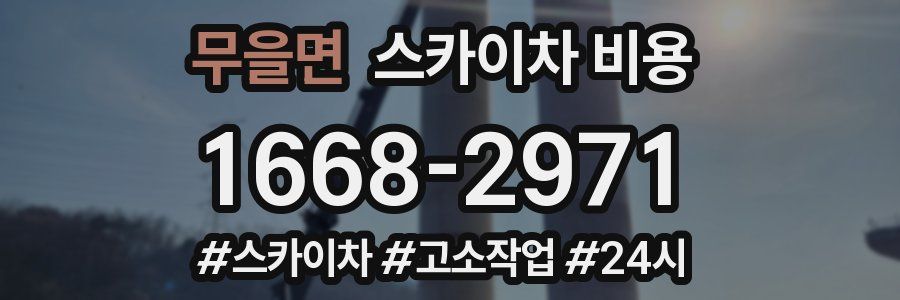 무을면 스카이차 비용