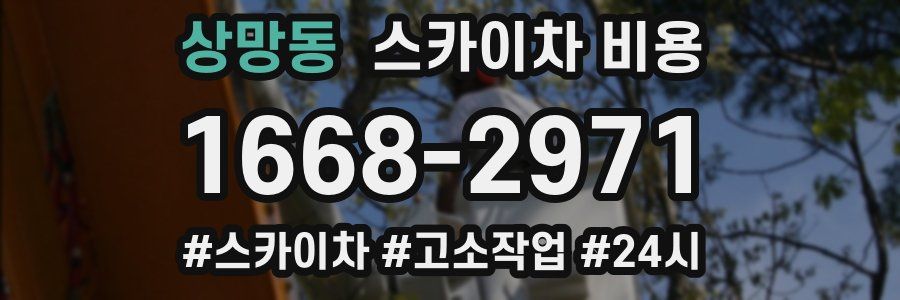 상망동 스카이차 비용