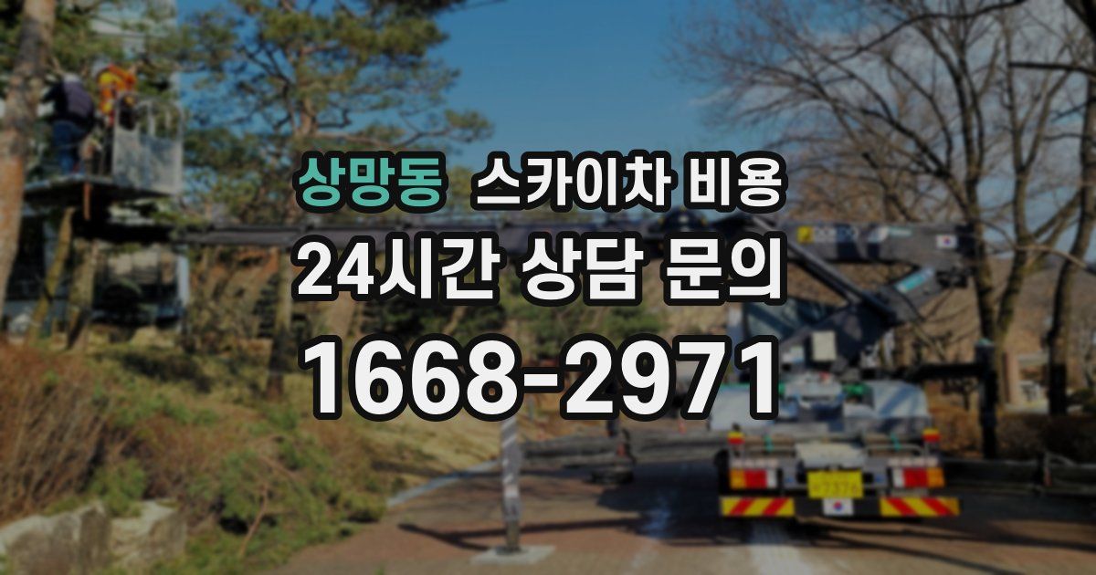 상망동 스카이차 비용