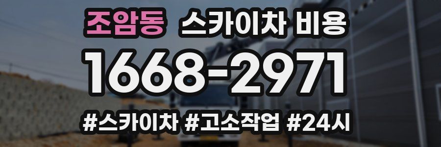 조암동 스카이차 비용