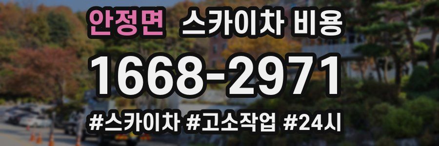 안정면 스카이차 비용