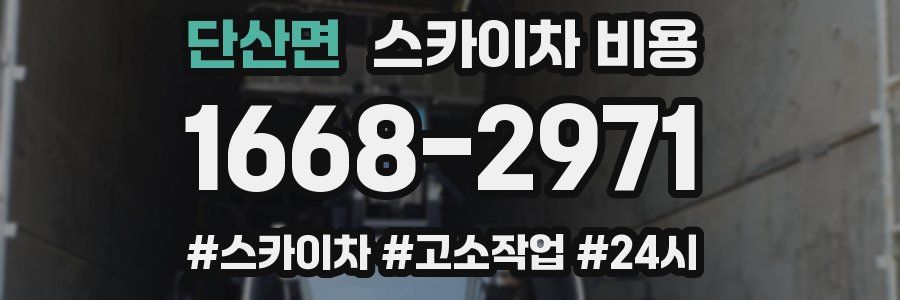 단산면 스카이차 비용