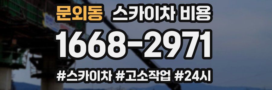 문외동 스카이차 비용