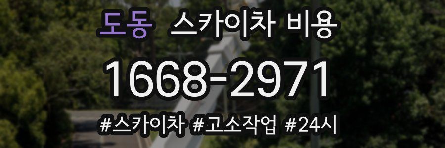 도동 스카이차 비용