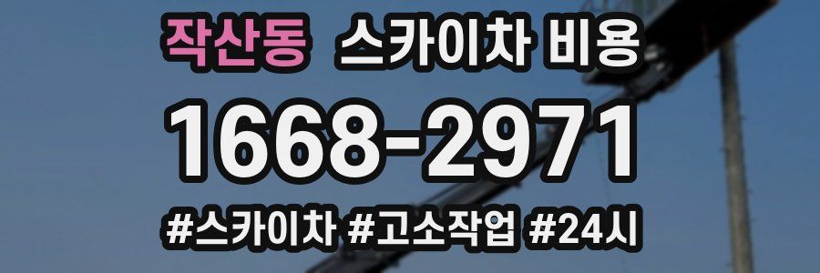 작산동 스카이차 비용