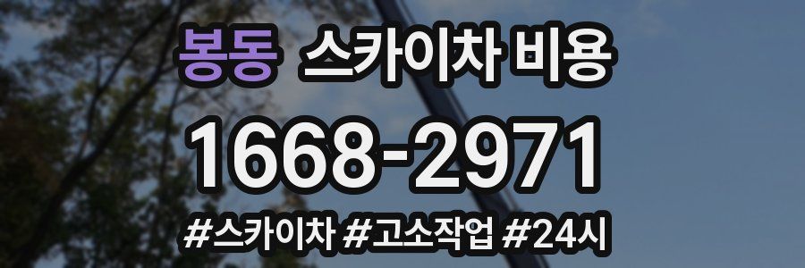 봉동 스카이차 비용