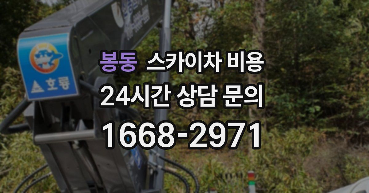 봉동 스카이차 비용