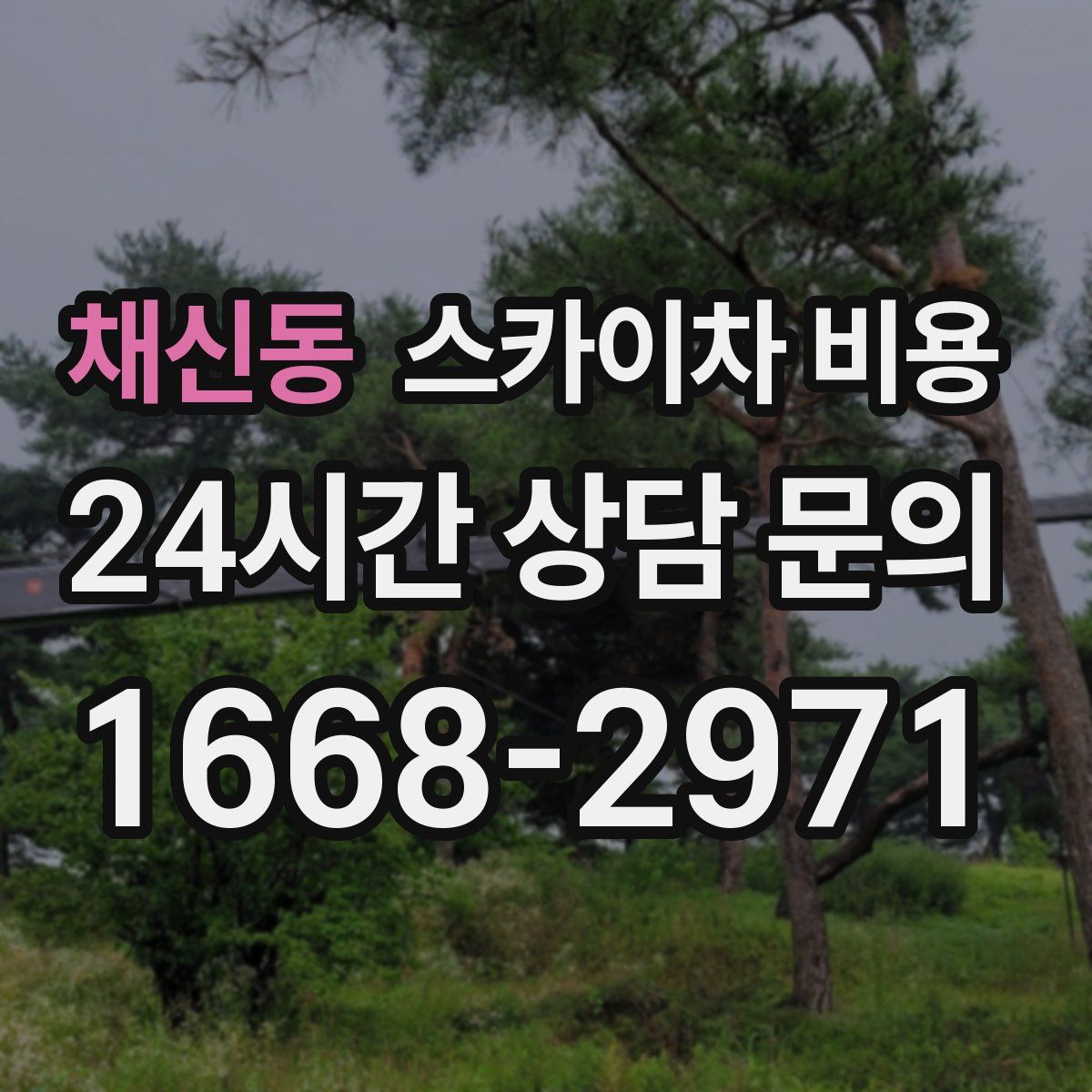 채신동 스카이차 비용