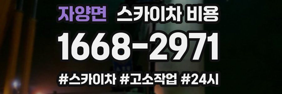 자양면 스카이차 비용