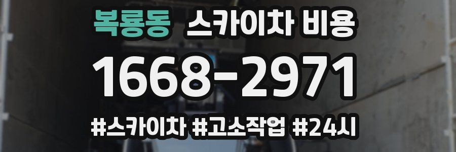 복룡동 스카이차 비용