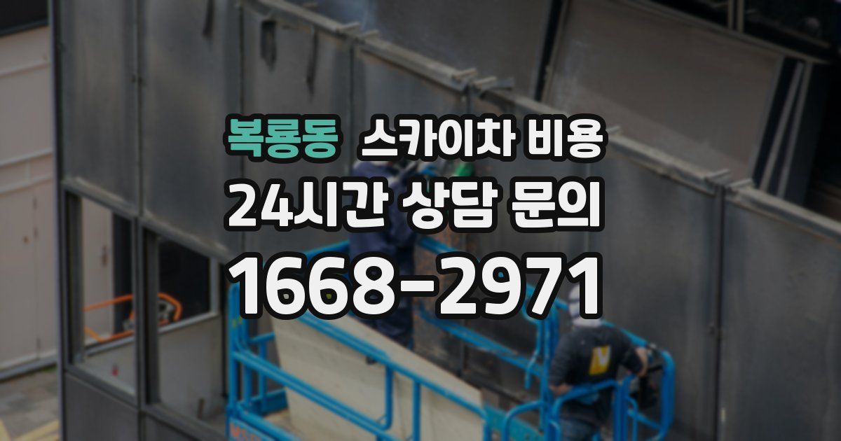 복룡동 스카이차 비용