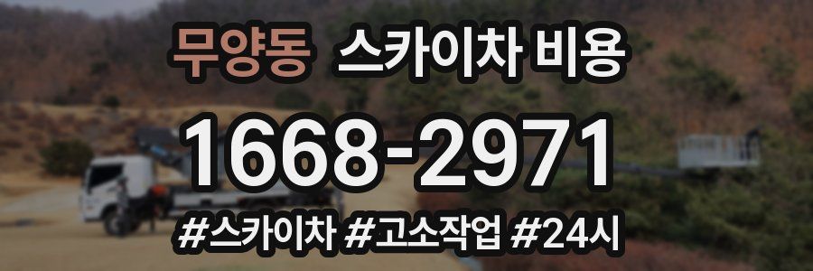 무양동 스카이차 비용