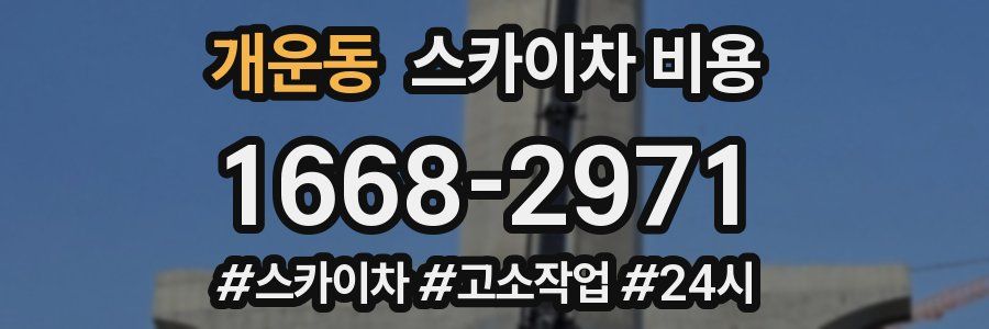 개운동 스카이차 비용