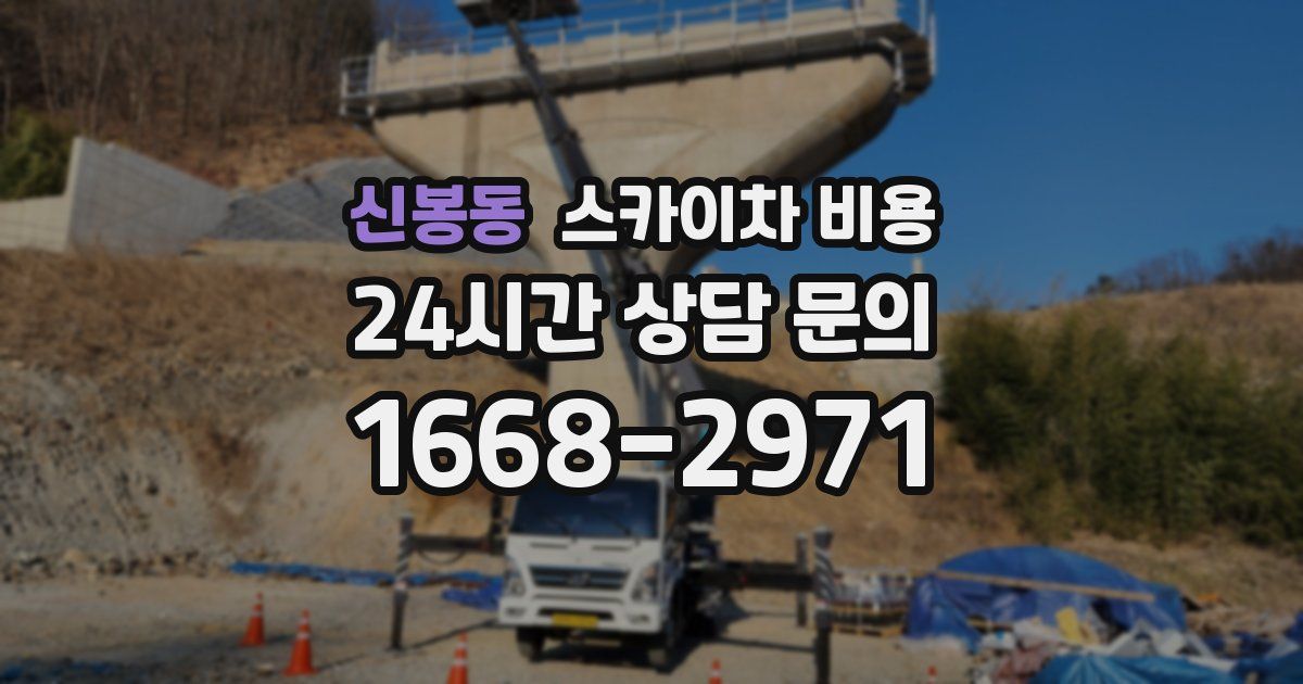 신봉동 스카이차 비용