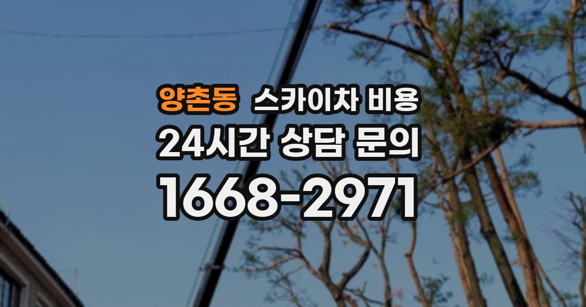 양촌동 스카이차 비용