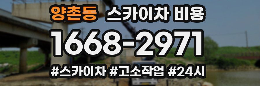 양촌동 스카이차 비용