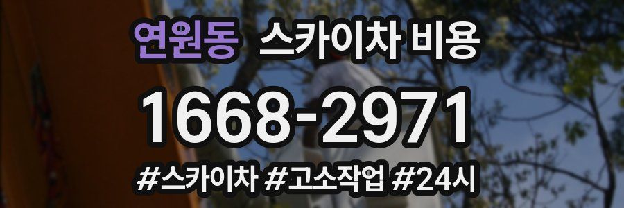 연원동 스카이차 비용