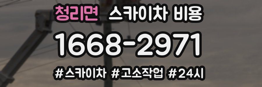 청리면 스카이차 비용