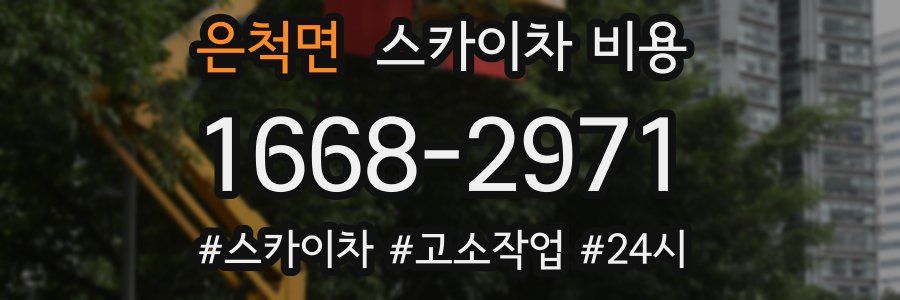 은척면 스카이차 비용