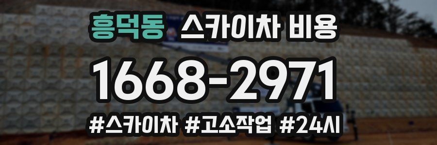 흥덕동 스카이차 비용