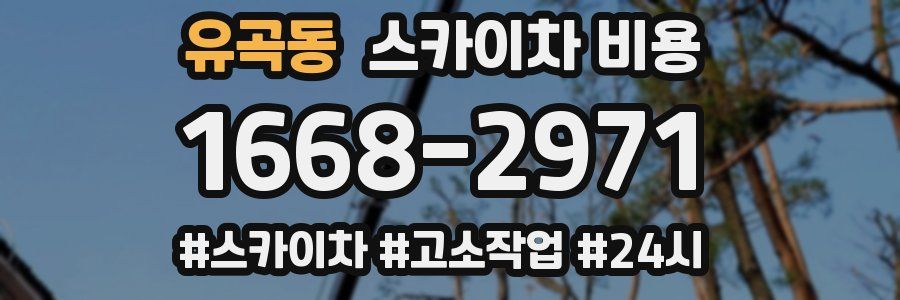 유곡동 스카이차 비용